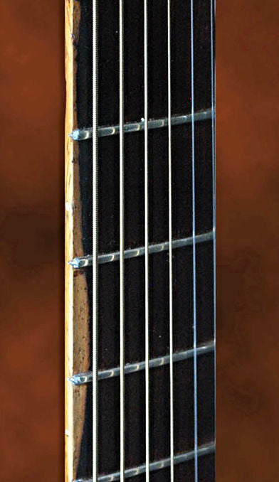 Indian Rosewood Concert Guitar - Detail