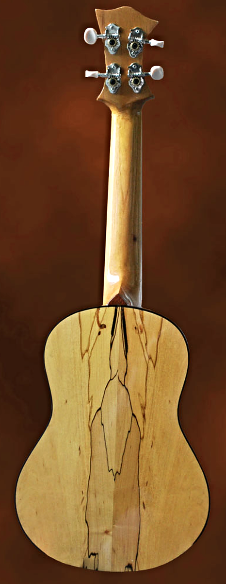 Concert Ukulele in Spalted Maple and Spruce - Back View